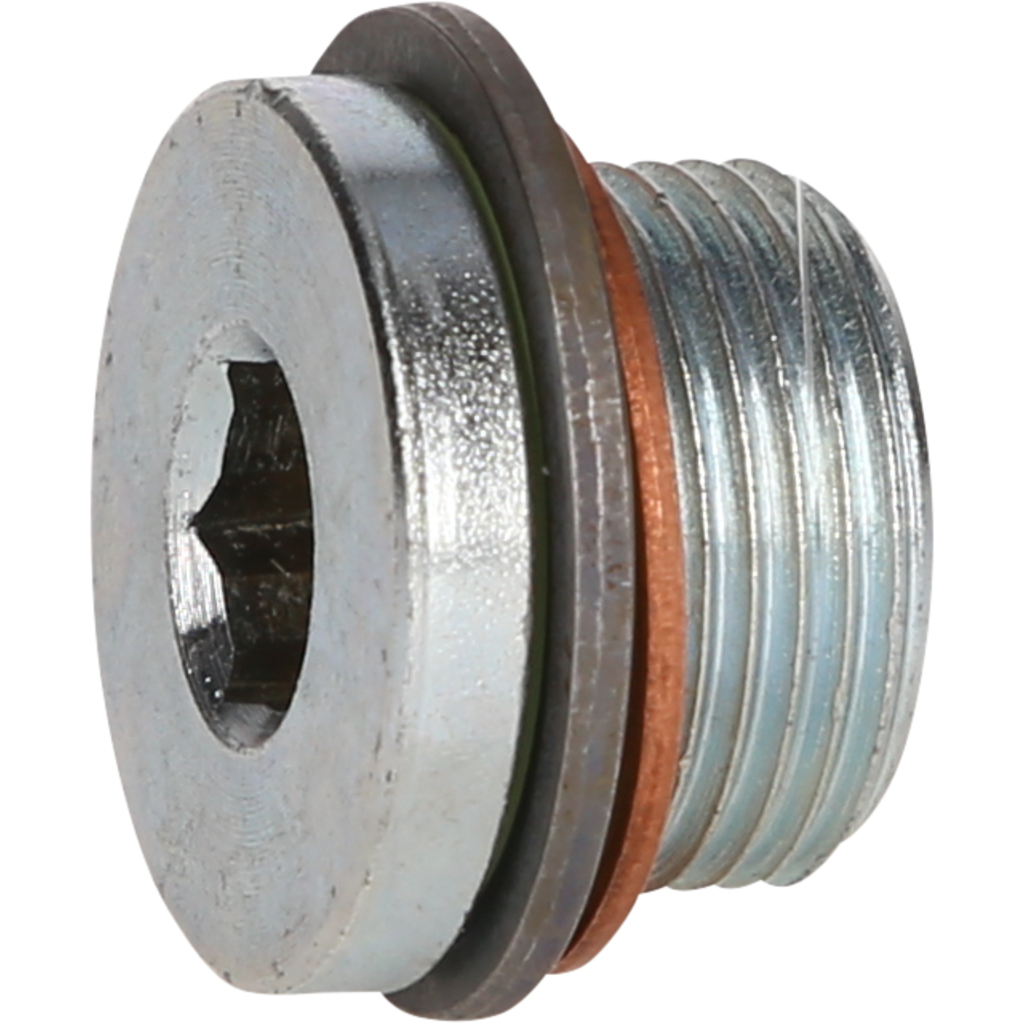10 Viti Scarico Olio Rohloff Per Speedhub &ndash; Art. 8205 &ndash; Ricambio Originale